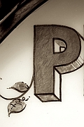 Wall_Art_Alphabet_Photography_Art_ 1825